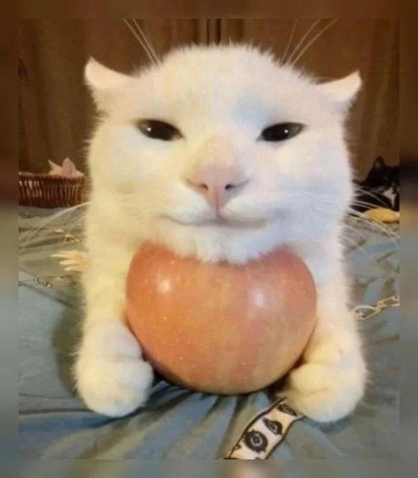 Hasyanchick Tier List Games (full time life)